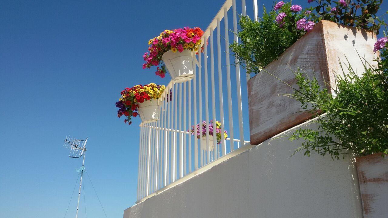 Trame - La Naca Sul Porto Bed & Breakfast Polignano a Mare Dış mekan fotoğraf